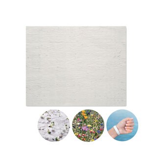 GiftRetail MO6907 - BANDSEE Opaska z papieru z nasionami Biały