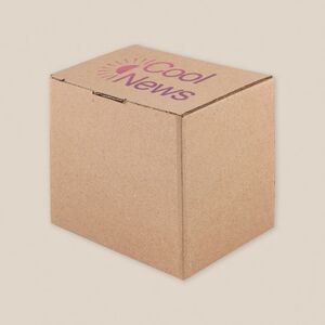 EgotierPro 52085 - Samoskładające się pudełko kartonowe na kubki CUPPA