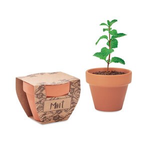 GiftRetail MO2218 - MINT POT Nasiona mięty w doniczce